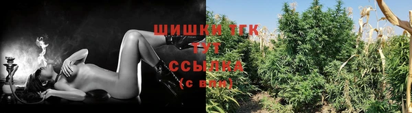 ПСИЛОЦИБИНОВЫЕ ГРИБЫ Верея
