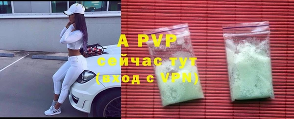 ПСИЛОЦИБИНОВЫЕ ГРИБЫ Верея