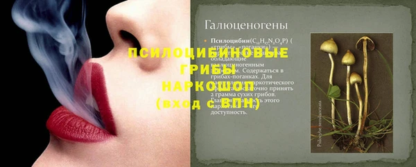 ПСИЛОЦИБИНОВЫЕ ГРИБЫ Верея