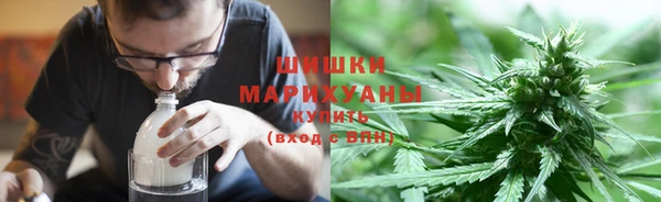 ПСИЛОЦИБИНОВЫЕ ГРИБЫ Верея