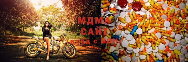 ПСИЛОЦИБИНОВЫЕ ГРИБЫ Верея