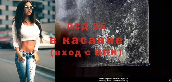 ПСИЛОЦИБИНОВЫЕ ГРИБЫ Верея
